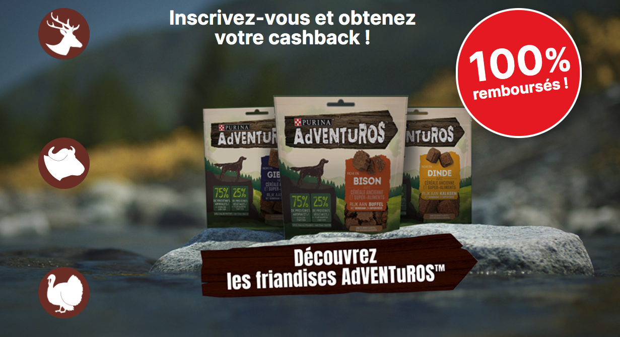concours purina chien